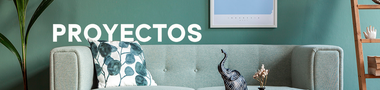 proyectos