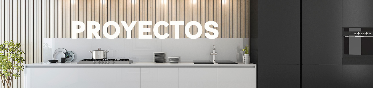 proyectos01